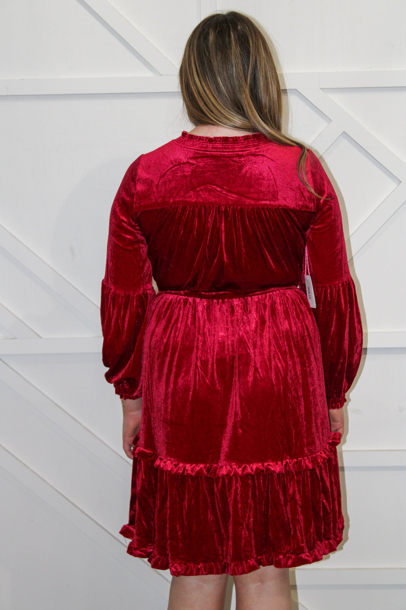 Wine Velvet Dress