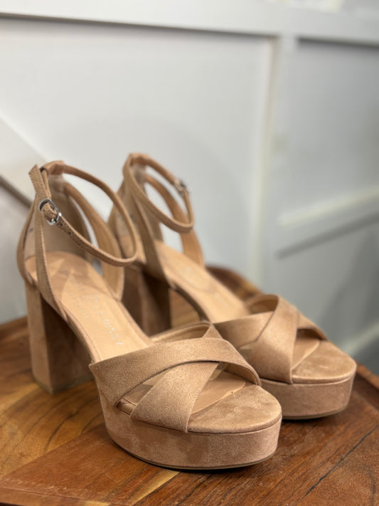 Tammy Sandal