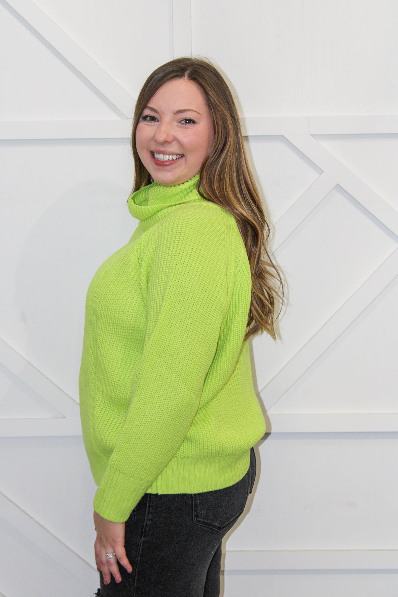 Julia Turtleneck Sweater